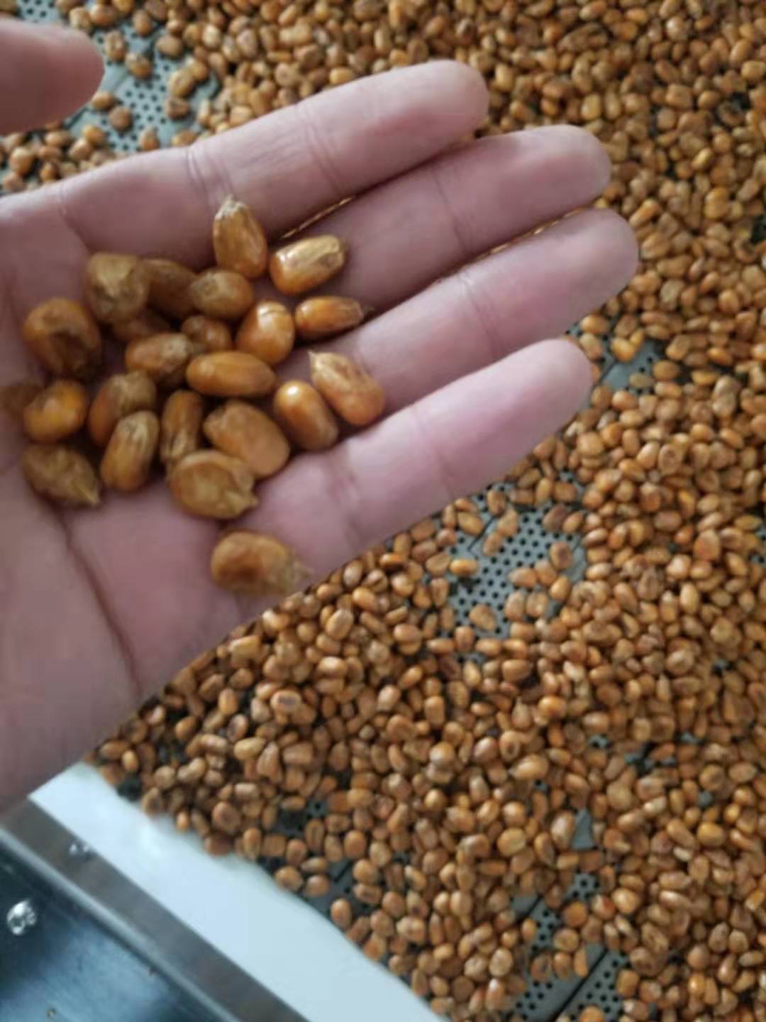 寰俊鍥剧墖_20191121145550.jpg 寰俊鍥剧墖_20191121145550.jpg